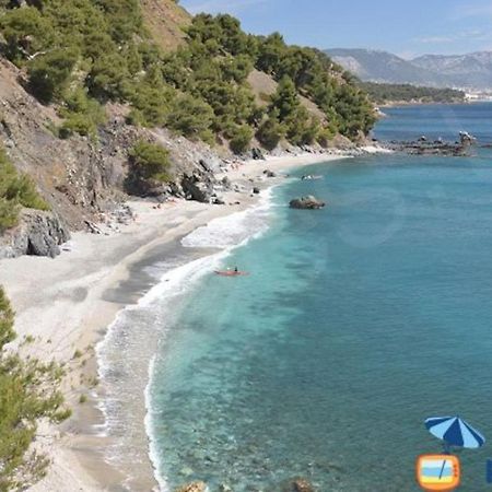 Loft Climatise "La Pinede", 50 M2, Tres Calme, 5 Mn A Pied Des Plages, Lit King Size La Seyne-sur-Mer Zewnętrze zdjęcie