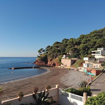 Loft Climatise "La Pinede", 50 M2, Tres Calme, 5 Mn A Pied Des Plages, Lit King Size La Seyne-sur-Mer Zewnętrze zdjęcie