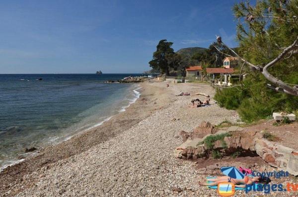 Loft Climatise "La Pinede", 50 M2, Tres Calme, 5 Mn A Pied Des Plages, Lit King Size La Seyne-sur-Mer Zewnętrze zdjęcie