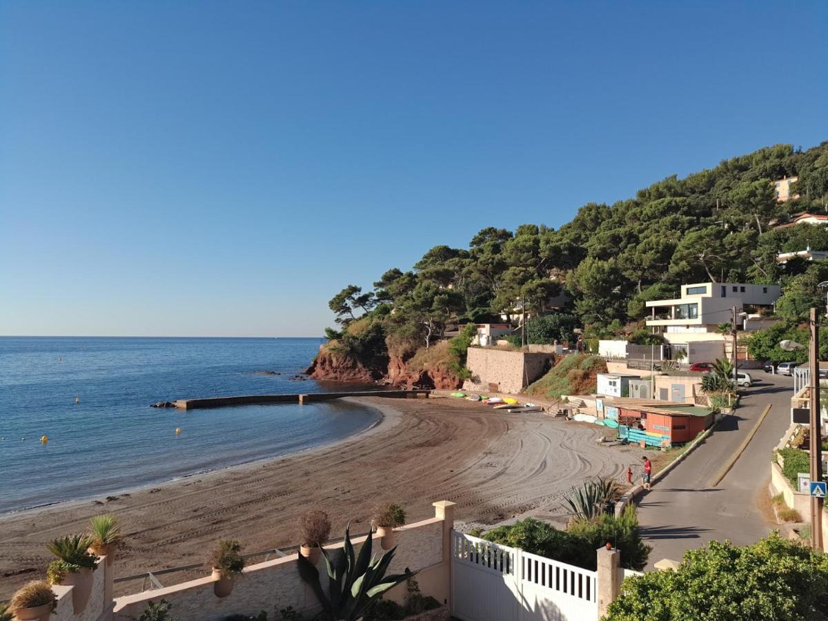 Loft Climatise "La Pinede", 50 M2, Tres Calme, 5 Mn A Pied Des Plages, Lit King Size La Seyne-sur-Mer Zewnętrze zdjęcie